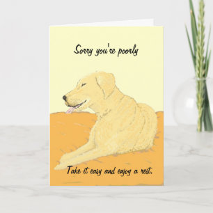 Golden Labrador, få ett bra kort