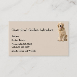 Golden Labrador Hund Pet Animal Affärskort Magn Visitkort