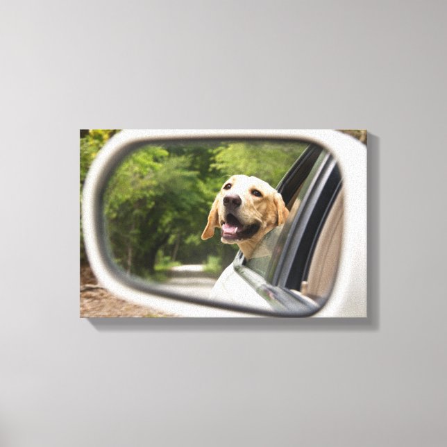 Golden Labrador i Rearview Spegel Canvastryck (Framsida)