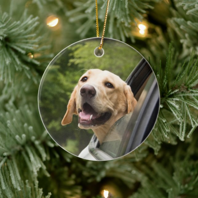 Golden Labrador i Rearview Spegel Julgransprydnad Keramik (Träd)