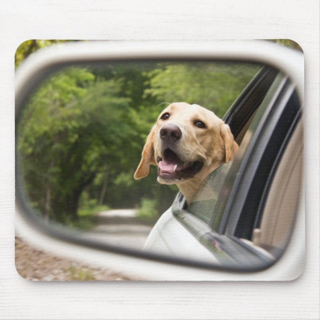 Golden Labrador i Rearview Spegel Musmatta (Framsidan)