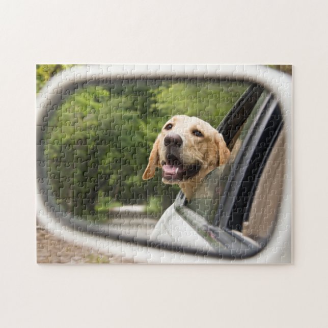Golden Labrador i Rearview Spegel Pussel (Horisontell)