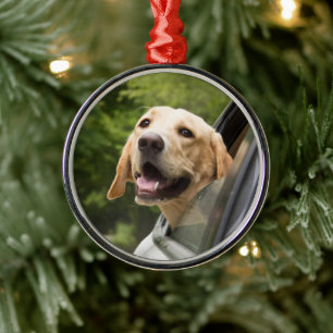 Golden Labrador i Spegel Julgransprydnad Metall