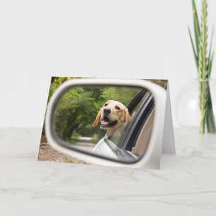 Golden Labrador i Spegel Kort