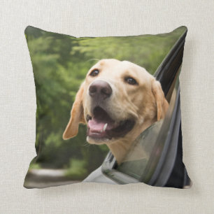 Golden Labrador i Spegel Kudde