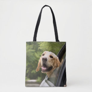 Golden Labrador i Spegel Tygkasse