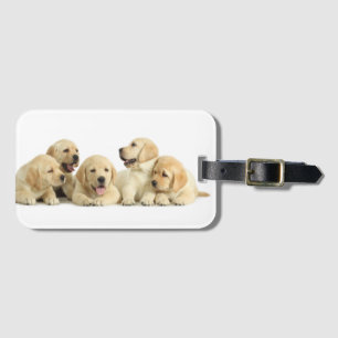 Golden Labrador Puppy Pile Bagagebricka