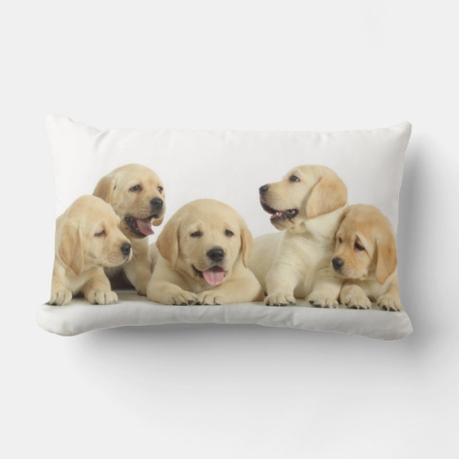 Golden Labrador Puppy Pile Lumbarkudde (Framsida)