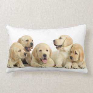 Golden Labrador Puppy Pile Lumbarkudde