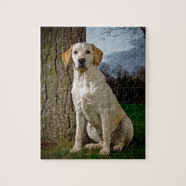 golden Labrador Pussel (Vertikal)