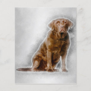 Golden Labrador Retriever 8 år gammal Flygblad