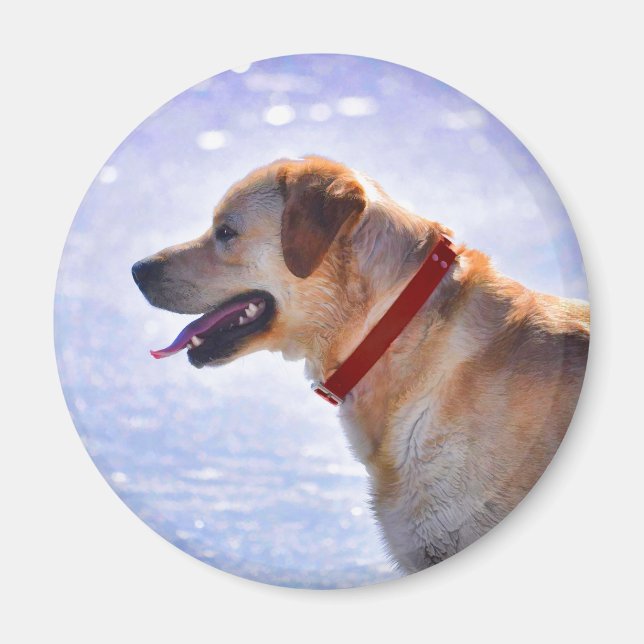 Golden Labrador Retriever Hund-älskare Gift Magnet (Framsidan)