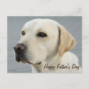 Golden Labrador Retriever Photograph Fars dag Vykort