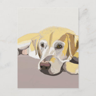 Golden Labrador Vykort