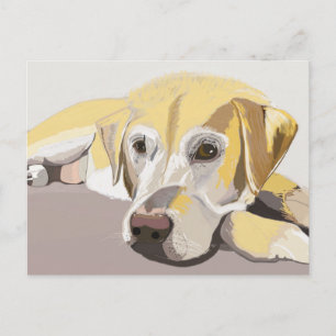 Golden Labrador Vykort