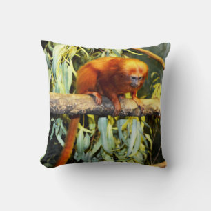 Golden Lejon Tamarin-observation, Cushion Kudde