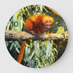 Golden Lejon Tamarin Observation, Wall Clock Stor Klocka