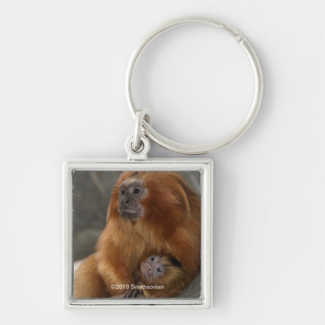 Golden Lejona Tamarin med Baby Fyrkantig Silverfärgad Nyckelring (Framsidan)