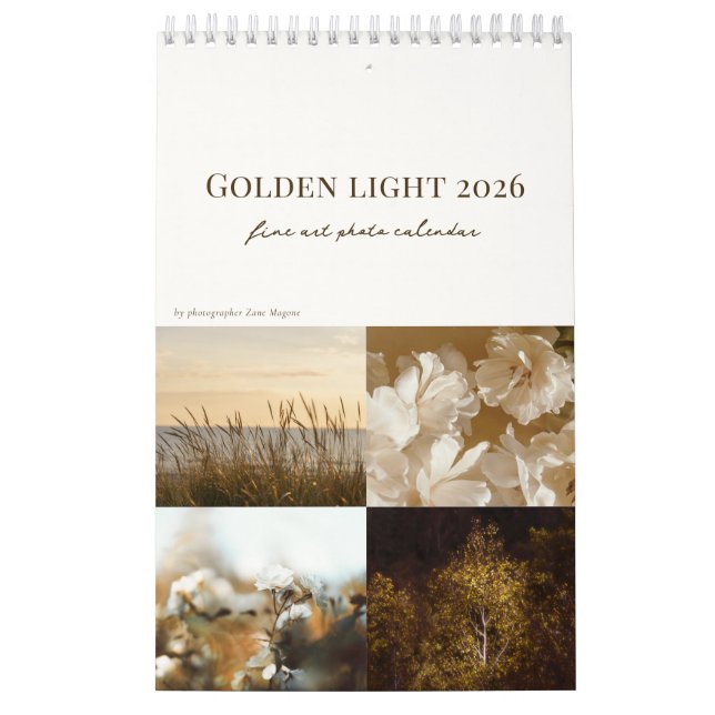 Golden Light calendar 2026 (small) Kalender (Omslag)