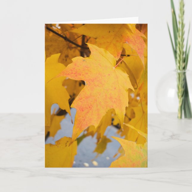 Golden Light Greeting Card Kort (Framsida)