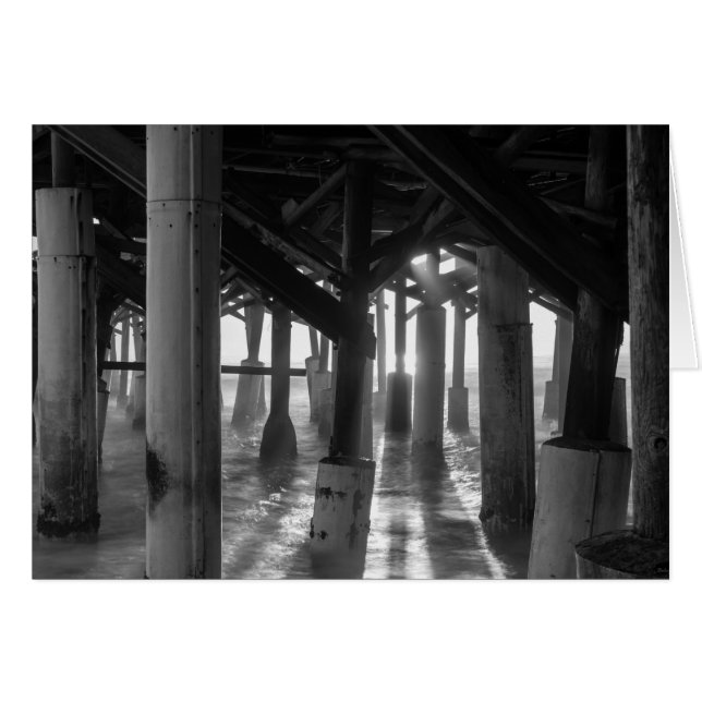 Golden Light Shines through Grayscale OBS Kort (Framsidan Horizontal)