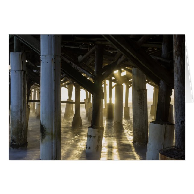 Golden Light Shines through OBS Kort (Framsidan Horizontal)