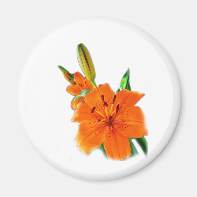 Golden Lily Magnet (Framsidan)