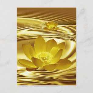 Golden lotus blomma vykort