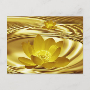 Golden lotus blomma vykort