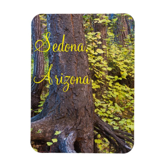 Golden Löv på Väster Fork Trail Magnet (Vertikal)