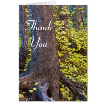 Golden löv på västerns gaffelbana. Tack