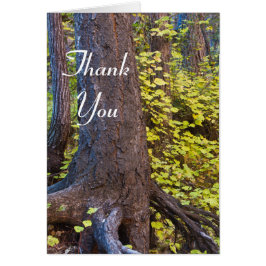 Golden löv på västerns gaffelbana. Tack Hälsningskort