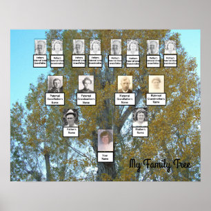 Golden Löv Photo Family Träd 4 Generation Poster
