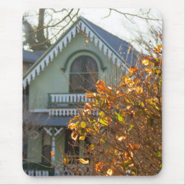 Golden Lövs and Gingertea - Martha's Vineyard Musmatta