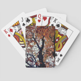 Golden lövs casinokort