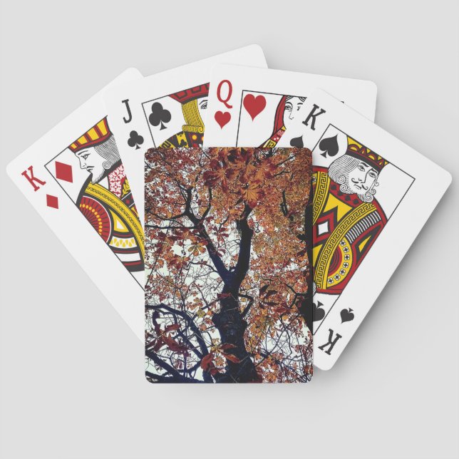 Golden lövs casinokort (Baksidan)