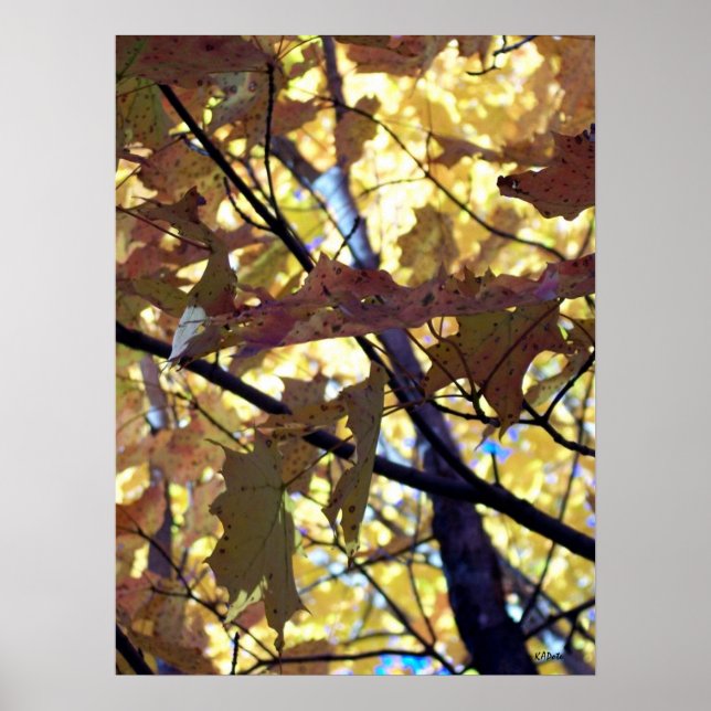 Golden Lövs of Autumn Poster (Framsidan)