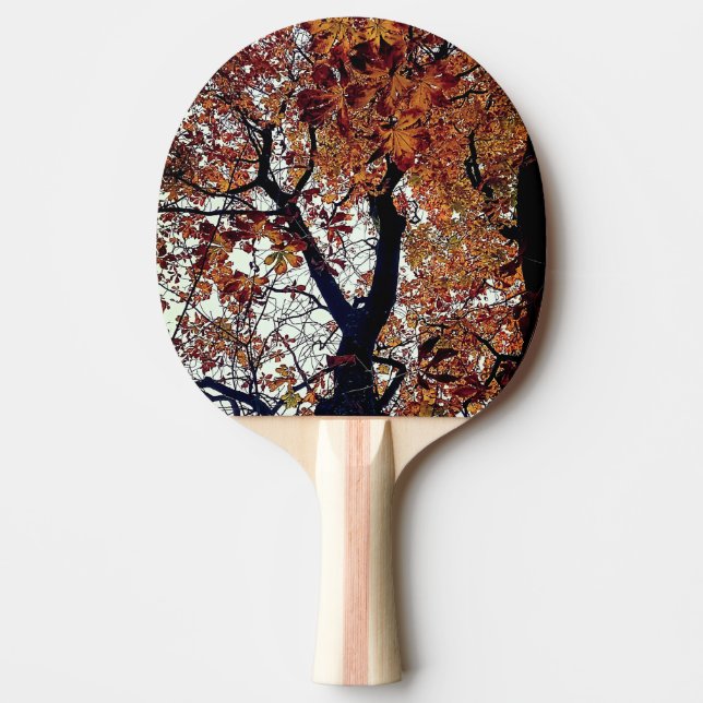 Golden lövs pingisracket (Framsidan)