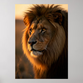 Golden Majesty: Kung Reign Poster