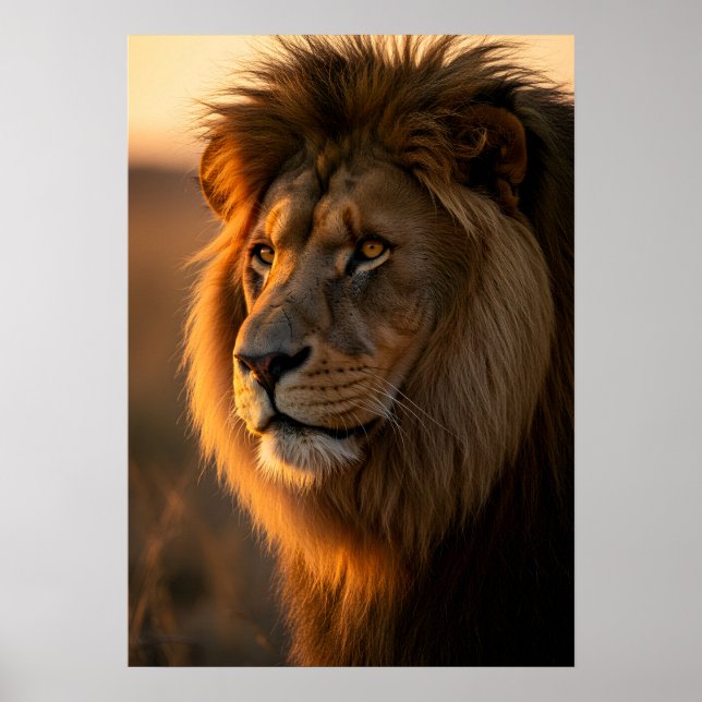 Golden Majesty: Kung Reign Poster (Framsidan)