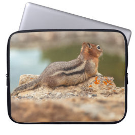 Golden Mantle Squirrel Laptop Fodral