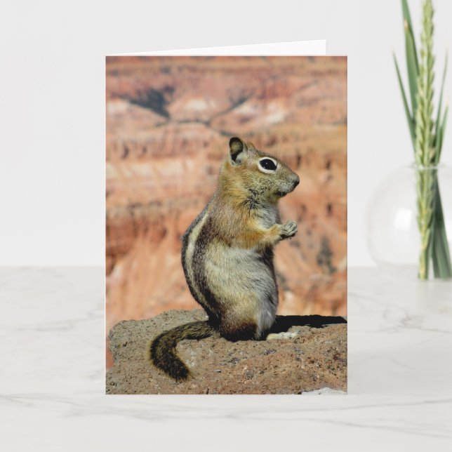 Golden Mantled Ground Squirrel Kort (Framsida)