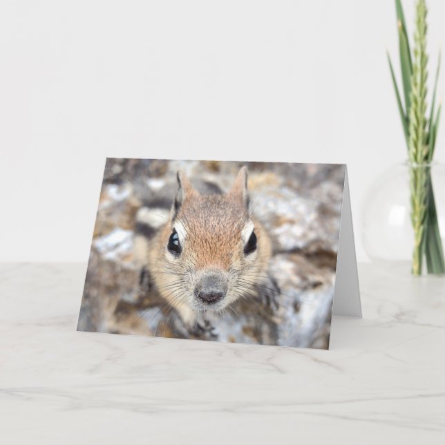 Golden Mantled Ground Squirrel Notecard Kort (Framsida)