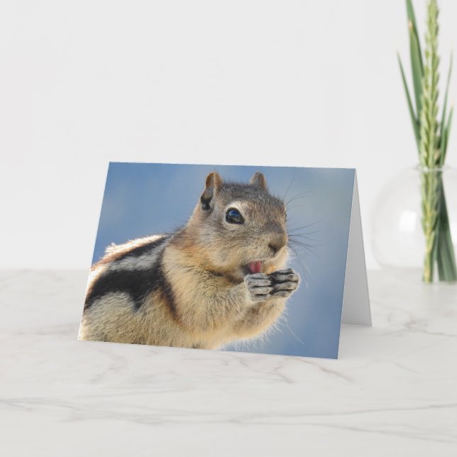 Golden Mantled Ground Squirrel Notecard Kort (Framsida)