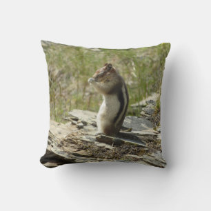 Golden-Mantled Ground Squirrel vid Glacier I Kudde