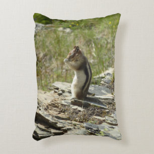 Golden-Mantled Ground Squirrel vid Glacier I Prydnadskudde