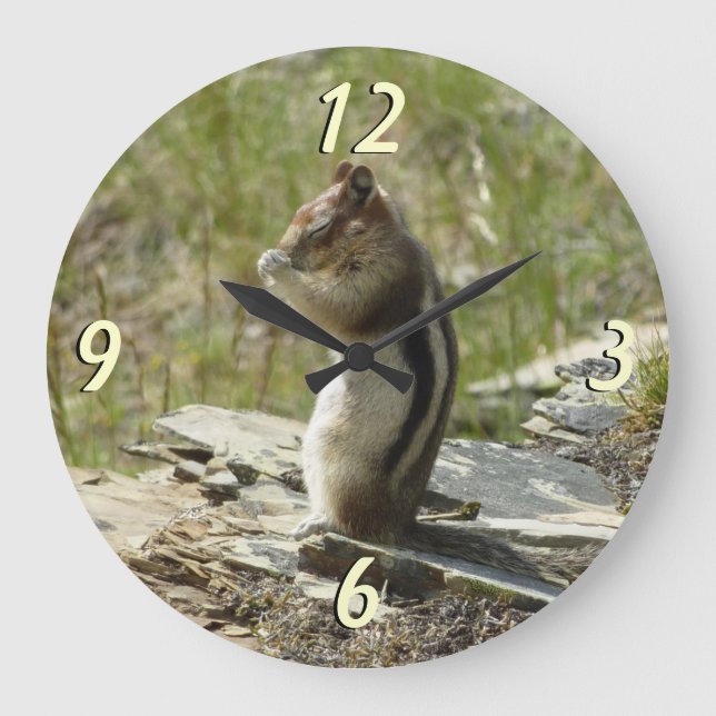 Golden-Mantled Ground Squirrel vid Glacier I Stor Klocka (Framsida)