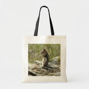 Golden-Mantled Ground Squirrel vid Glacier I Tygkasse