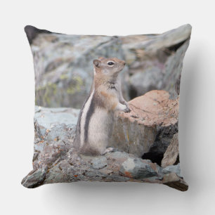 Golden-Mantled Ground Squirrel vid Glacier II Kudde