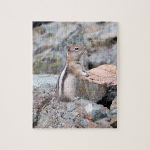 Golden-Mantled Ground Squirrel vid Glacier II Pussel